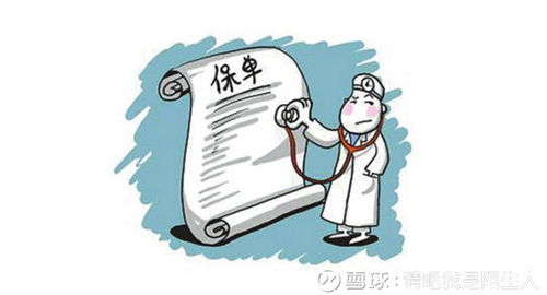 揭秘蝸牛保險(xiǎn)與咨詢服務(wù)的真相 我的親身體驗(yàn)分享